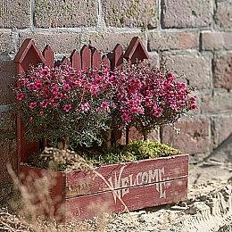 《兰若异谭》分享后续优化内容 新模式计划公布