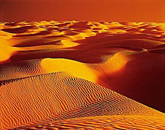 前GTA制作人新作《MindsEye》游戏时长约15个小时 沉浸感十足